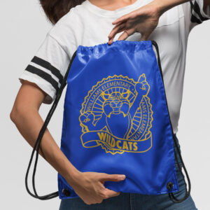 Cinch Sacks