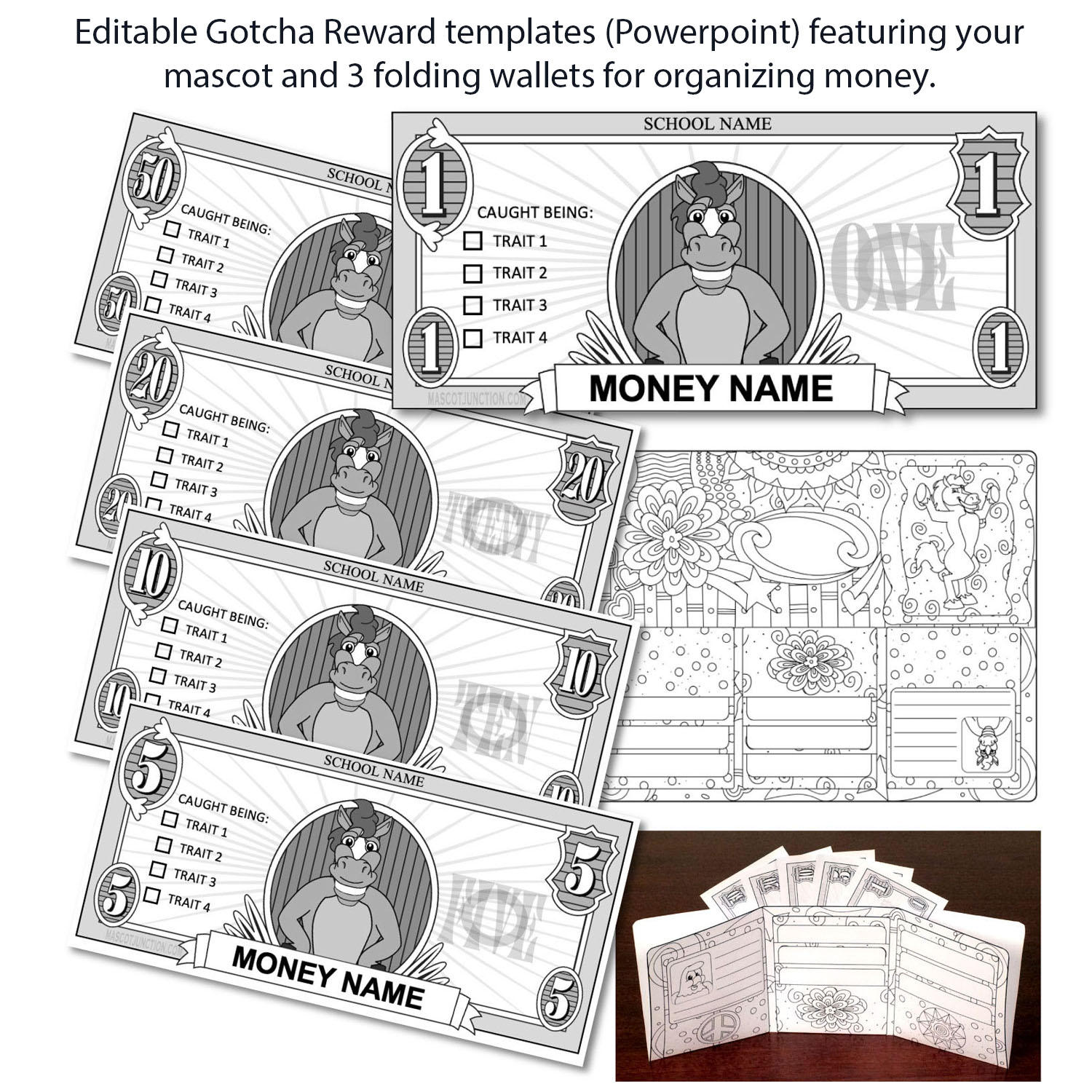 $3,300 PBIS Bundle - Image 5