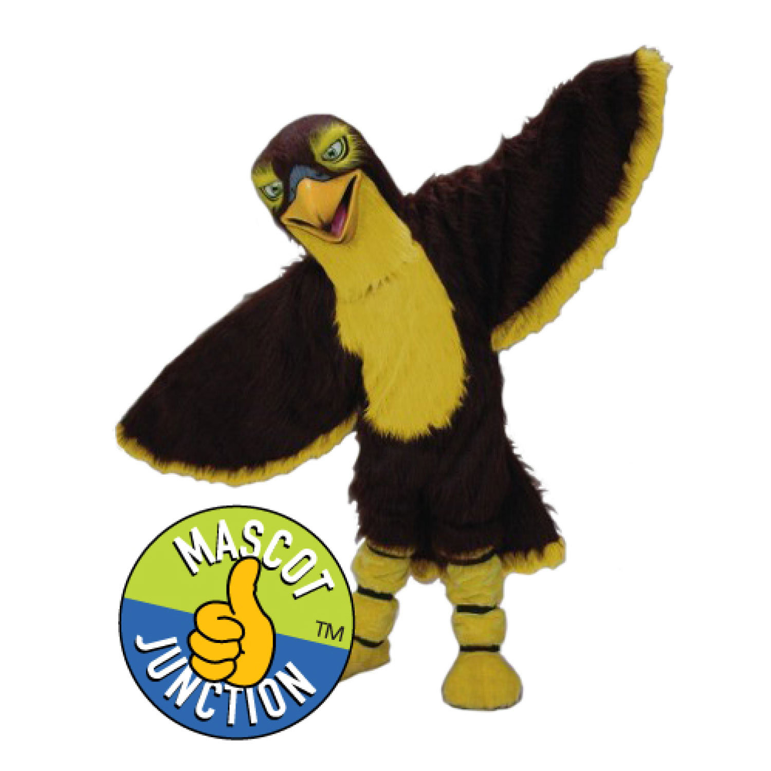 Falcon/Hawk Costume Option 2
