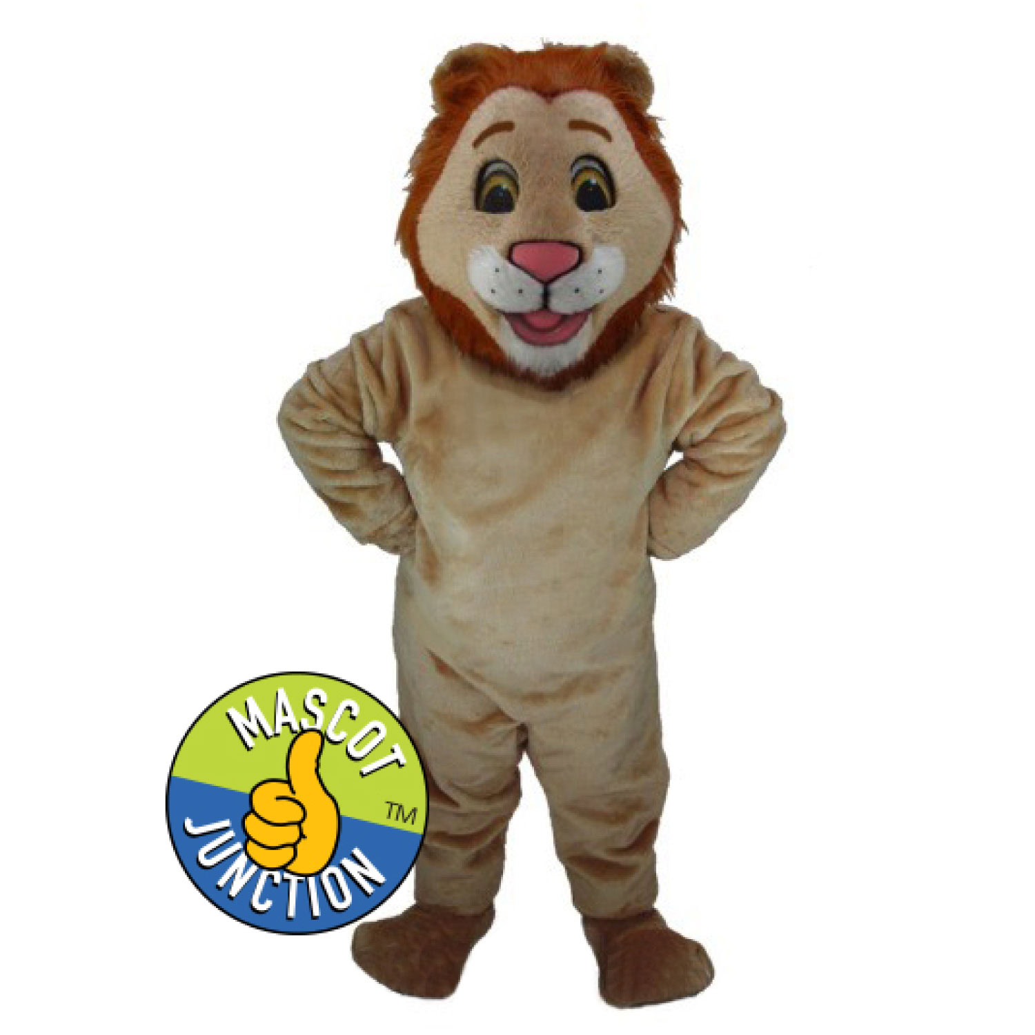 Lion Costume Option 2