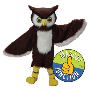 Owl Costume Option 1