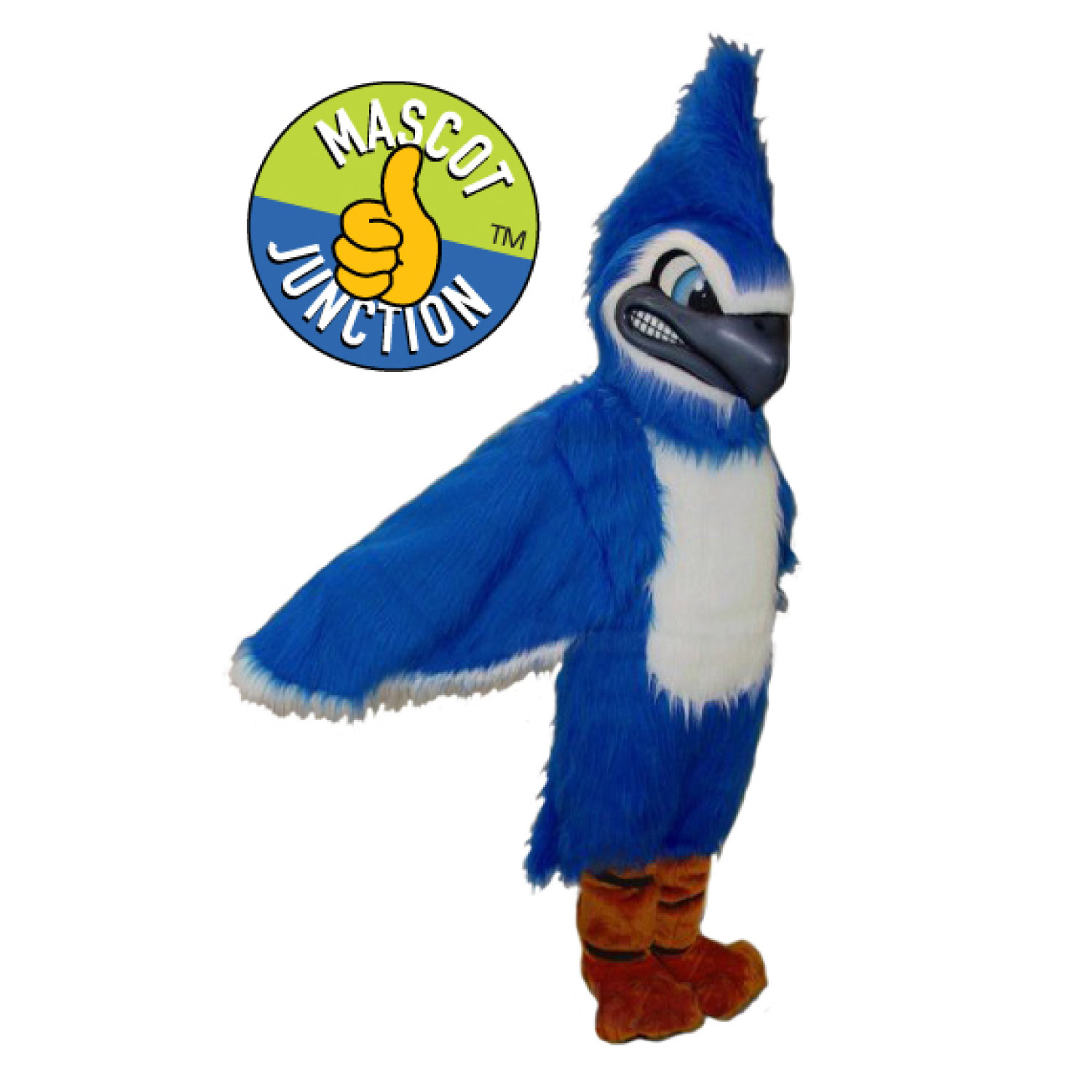 Blue Jay Costume Option 3