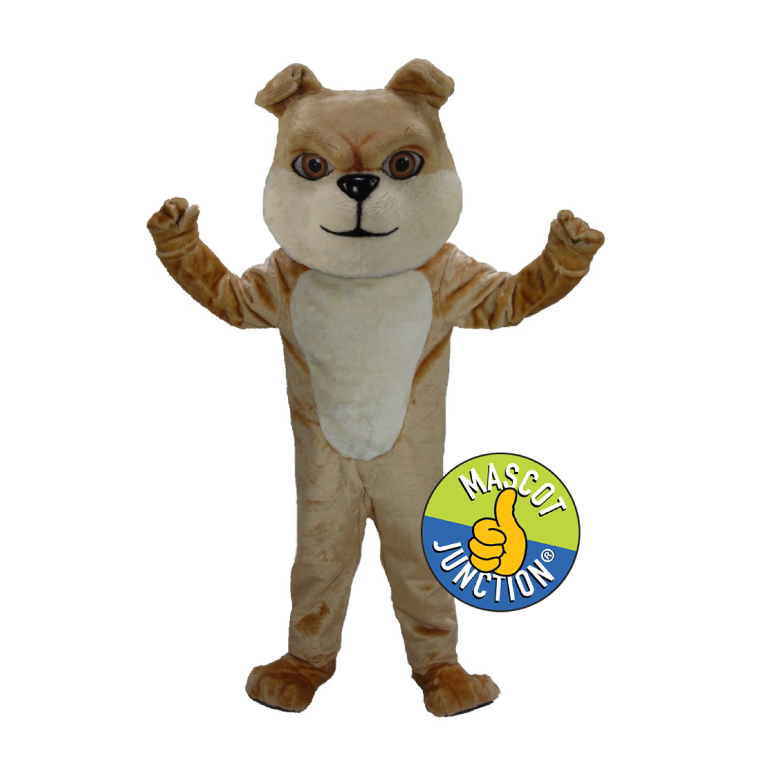 Bulldog Costume Option 2