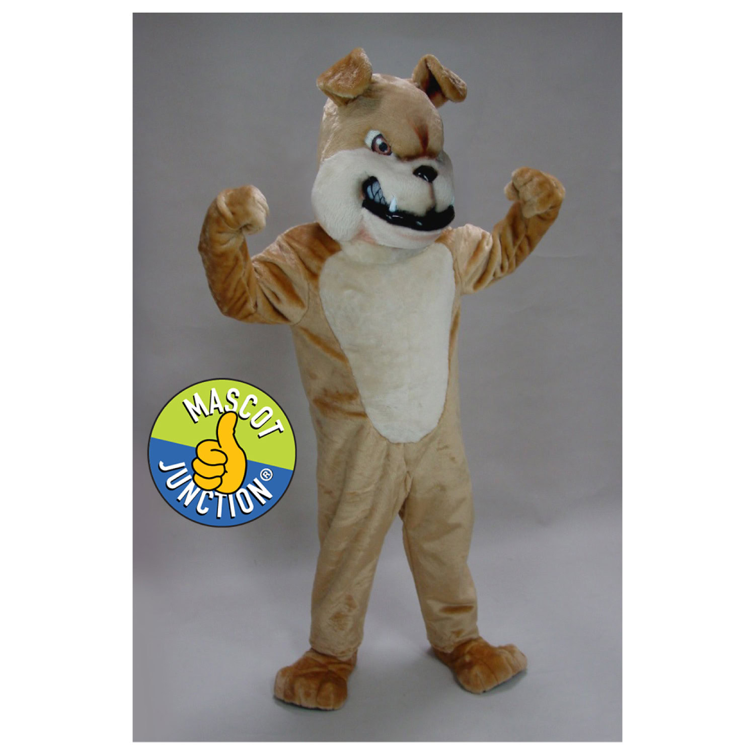 Bulldog Costume Option 4