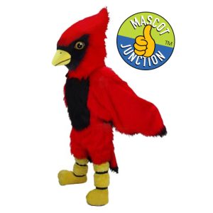 Cardinal Costume Option 1