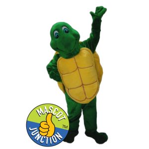 Turtle Costume Option 1